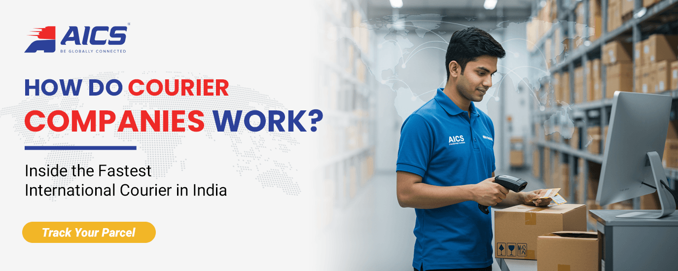 fastest international courier service in India